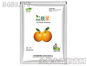 �����n����1000g��-����