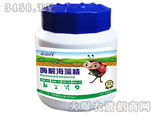 ø�⺣�徫-��ϲ�r