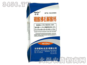 �����ʯ�����}-����-���A����