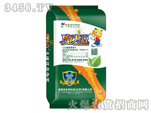 �����{(di��o)�턩-ħ����-�Z����