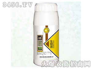 ����Һ-׿��-����