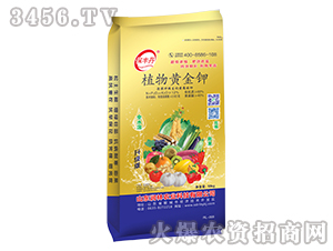 黃腐酸鉀沖施肥-植物黃金鉀-潤林農(nóng)業(yè)