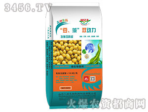 ΢�������-�������塱�p����-���S����