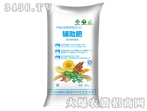 �o����-����ȫЧ�I�B(y��ng)�M�ϣ�����-�󻯷ʘI(y��)