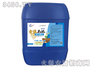 ΢�������-�������-�S�T�ʘI(y��)