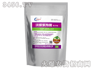 �������߾����ӷ�-�S�T�ʘI(y��)