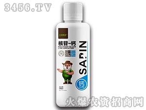 ����-�}-��ţ���B