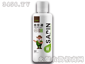 ����-��-��ţ���B