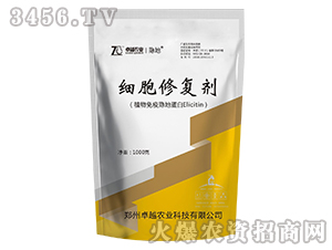 1000g�����ޏ̈́�-׿Խ�r�I