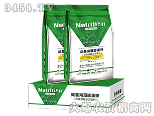 ̼����������-������