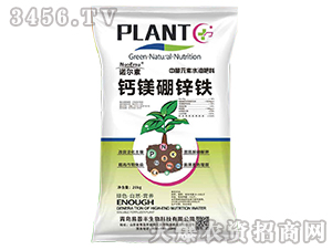 �}�V���\�F-�����S