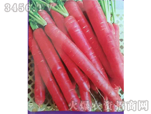 �t�Q�U���}���N��-��ʥ��