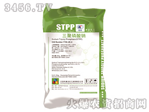 ���������cSTPP-��������