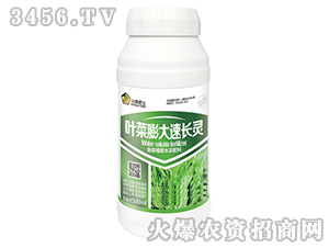 �~��������L�`��500ml��-�S�A�ʘI