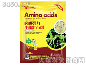 �������焩-���Ꮚ��-�S�A�ʘI