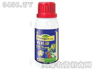 �ЙC�-�S�A�ʘI