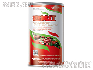 �����t��1000g��-�S�A�ʘI