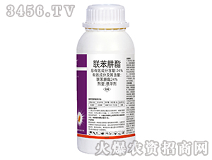 24%�������Ҹ���-���r����