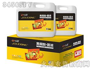 �S���ᡤ��Һ-�ɵ�-�f�����B