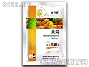 �ꖆ�һԪ�ط�-��Ƶ�-��̩