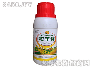 ֲ���{����-���S��-�ؘ���