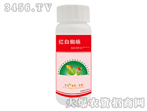 �t��֩����΄�-����ɭ