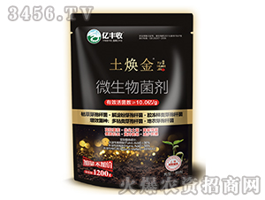 ΢�������-������-����̩