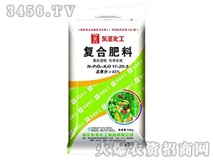 ���������ͺϷ���17-23-5-�|ʥ����