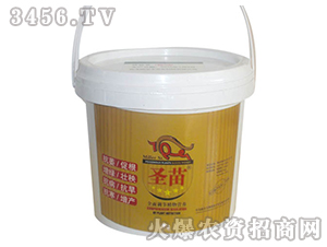 ˮ���ؾ��z���׷�-ʥ��-���r����