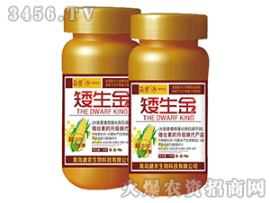 ���ﰫ���ЙC�{����-������-���r����