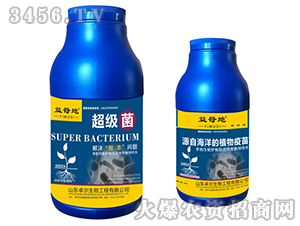 ������-��ĸ��-׿������