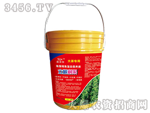 ���徫�~���נI�BҺ���󽪌��ã�-��������-ʢ����