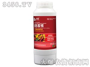 ������-�ػ�-�W���r�I