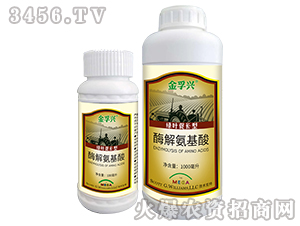 ø�ⰱ����-�����d-���S�ʘI