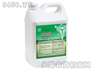 �ݸ�좴���-��ؐ��