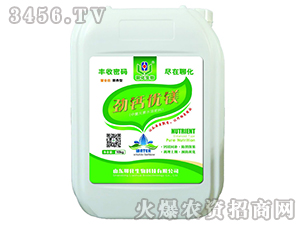 ���}���V-�Ļ�����