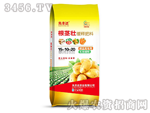 ��ጷ���15-10-20-���o��-���S�_