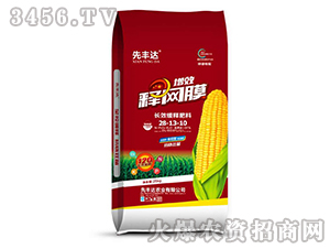 �LЧ��ጷ���28-13-10���t��-��ЧጾWĤ-���S�_