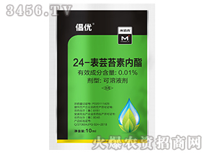 24-���|̦�؃���-����-��������