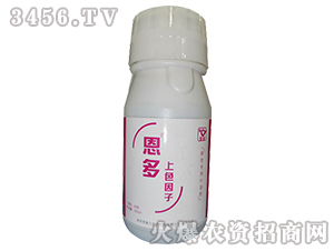 �Dɫ���÷�-���ࡤ��ɫ����-������