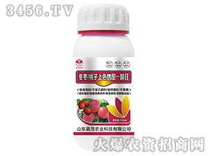 冬棗桃子上色增甜一噴紅-晨茂農業