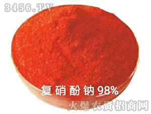 �������c98%-�������