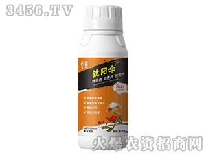 �ꖂ�-�n�{�R-̩����H