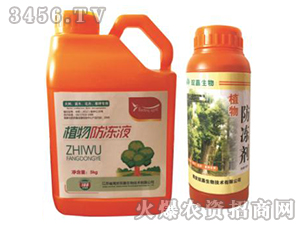 ֲ�������-�p������