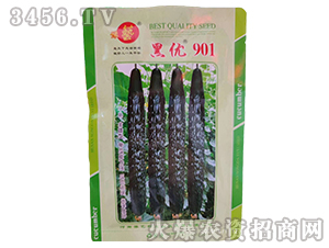 �ڃ�901-�S�ϷN��-ԥˇ