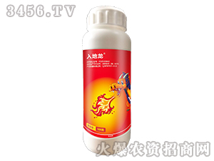 240��/���x(ch��ng)����Ҹ���-�����-��ֲ��