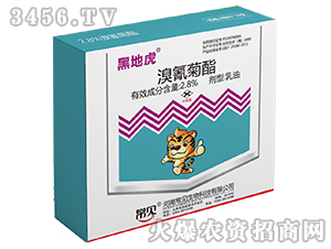 �������-�ڵػ�-��Ҋ����