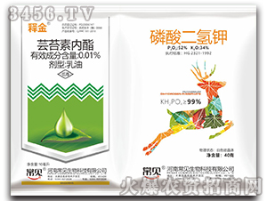 �|̦�؃���+��������-ጽ�-��Ҋ����