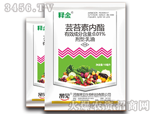 �|̦�؃���-ጽ�-��Ҋ����