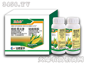 ��������݄�-���Ø�-�Ϸ�����